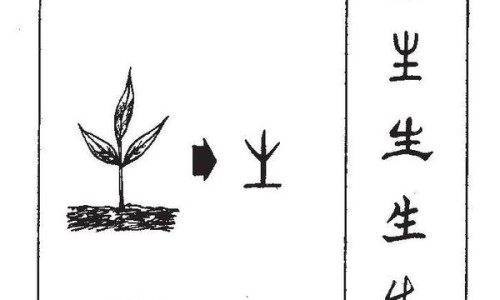 沙棘泡水喝的功效与作用及禁忌-沙棘泡水喝的功效与作用及副作用专区_沙棘泡水喝有效果吗专区_沙棘泡水喝的功效与作用网